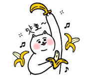 card_img
