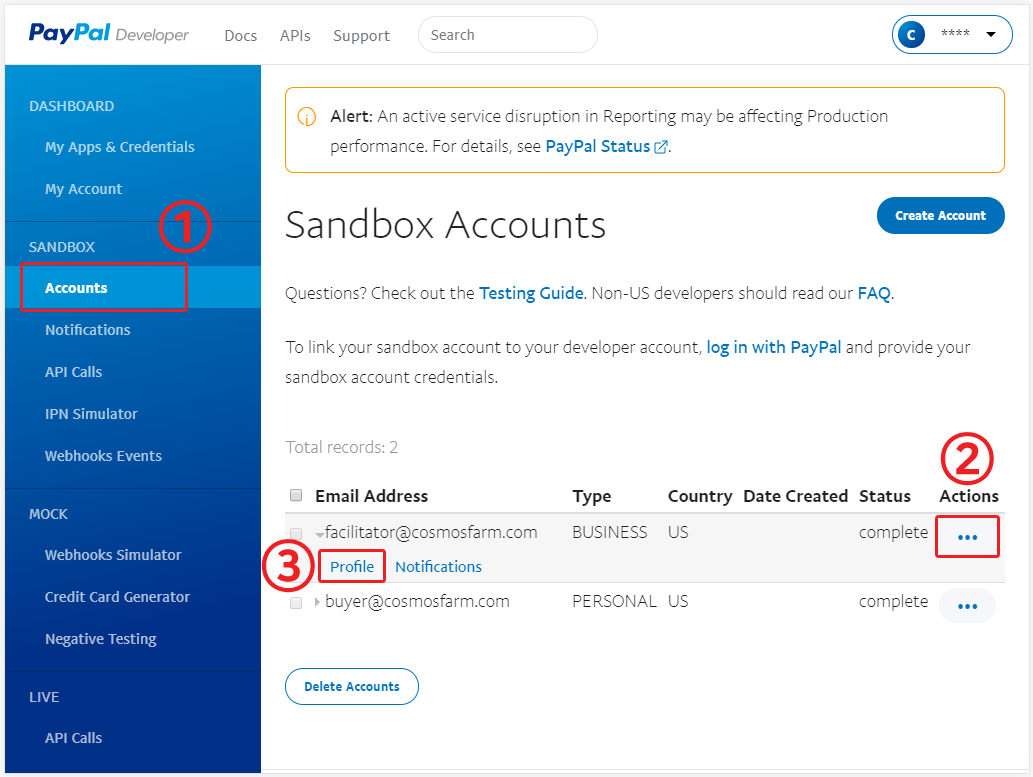 페이팔 샌드박스(PayPal Sandbox) 테스트 계정 확인하기 - 코스모스팜 블로그