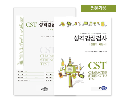 CST 성격강점검사 - 전문가용