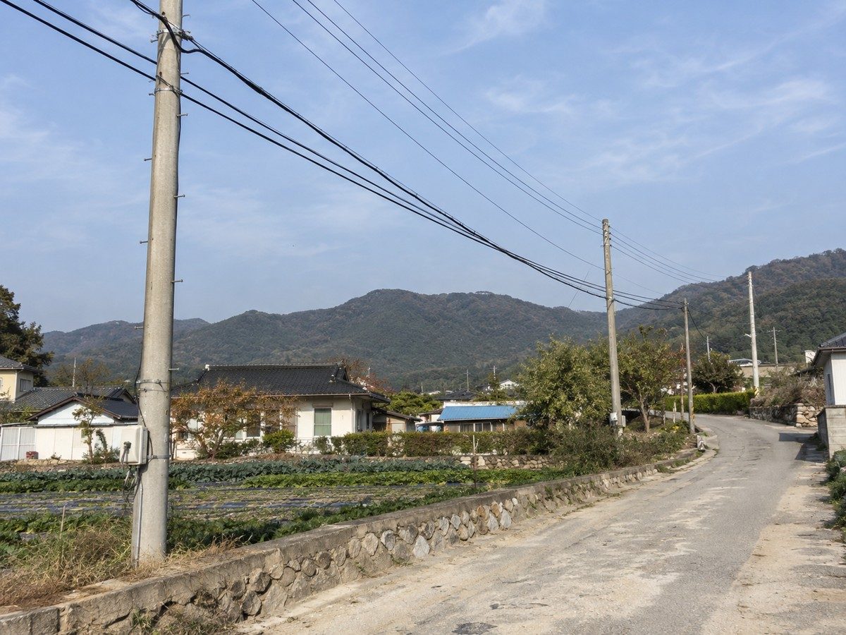 OW 전선 사진 2