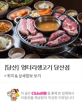 엉터리생고기 이미지
