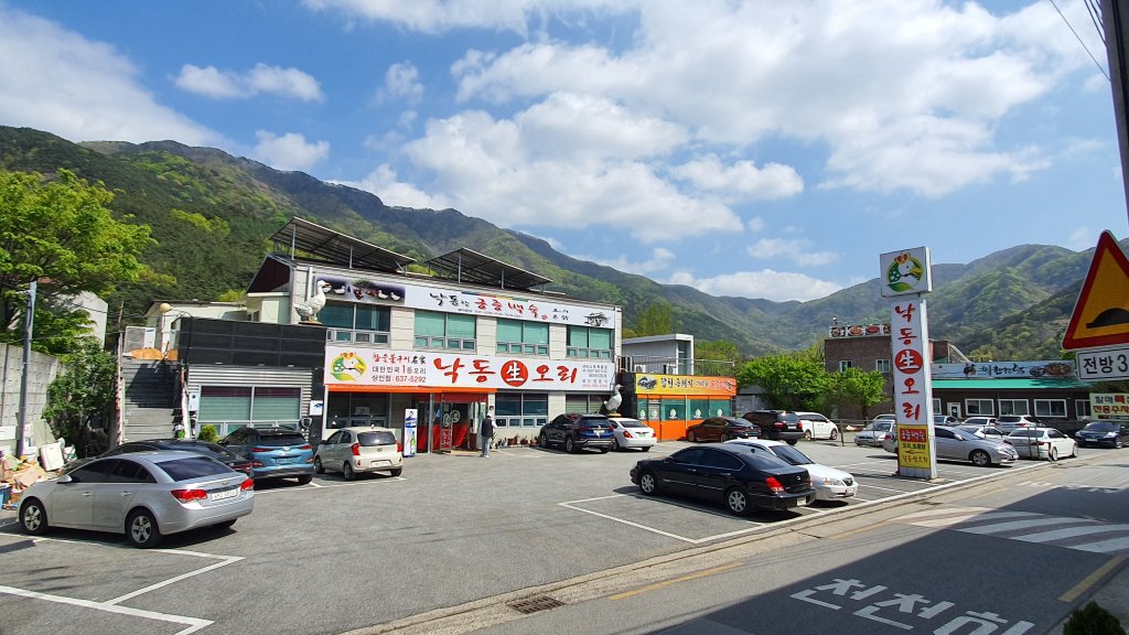 디너의여왕 - [대구 달서구] 낙동생오리 월광수변공원점 1차