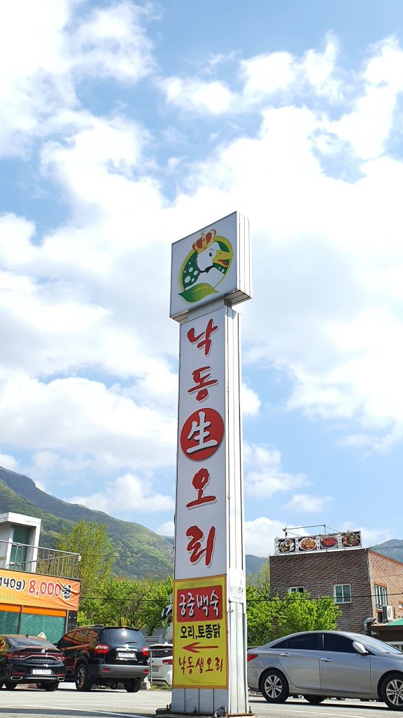 디너의여왕 - [대구 달서구] 낙동생오리 월광수변공원점 1차