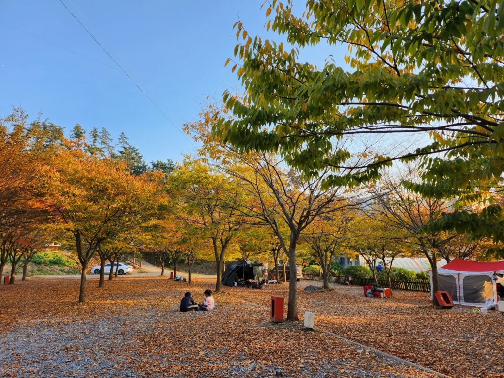 디너의여왕 - [충남 태안] 굼벵이캠핑장 3차