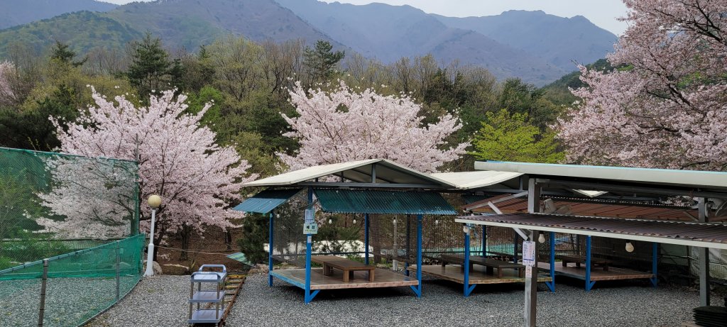 디너의여왕 - [울산 울주] 감나무산장 1차