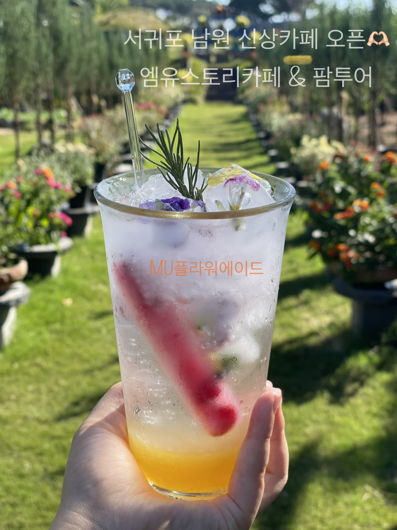 taste_card_img