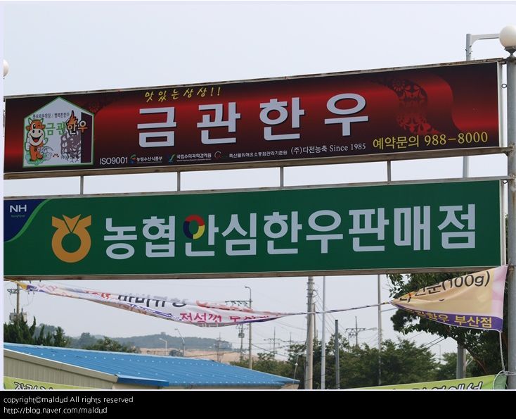 디너의여왕 - 갤러리 | 금관한우 기장점 - 기장군 기장읍 한식 소고기구이 추천맛집