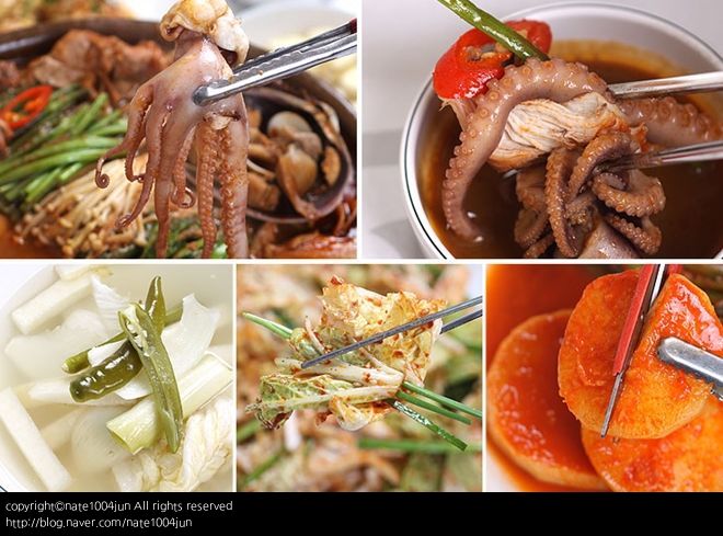 맛집 이미지