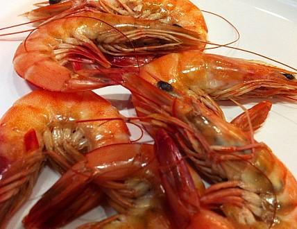 맛집 이미지