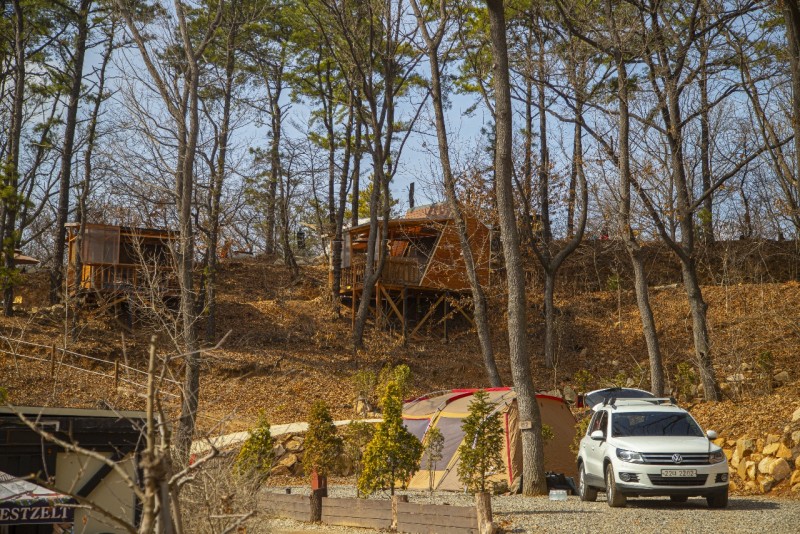 디너의여왕 - [경기 김포] 여울지숲속캠핑장 7차