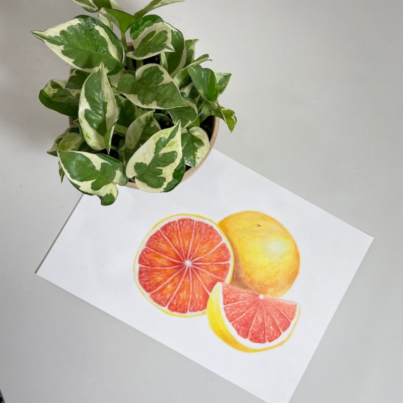 taste_card_img