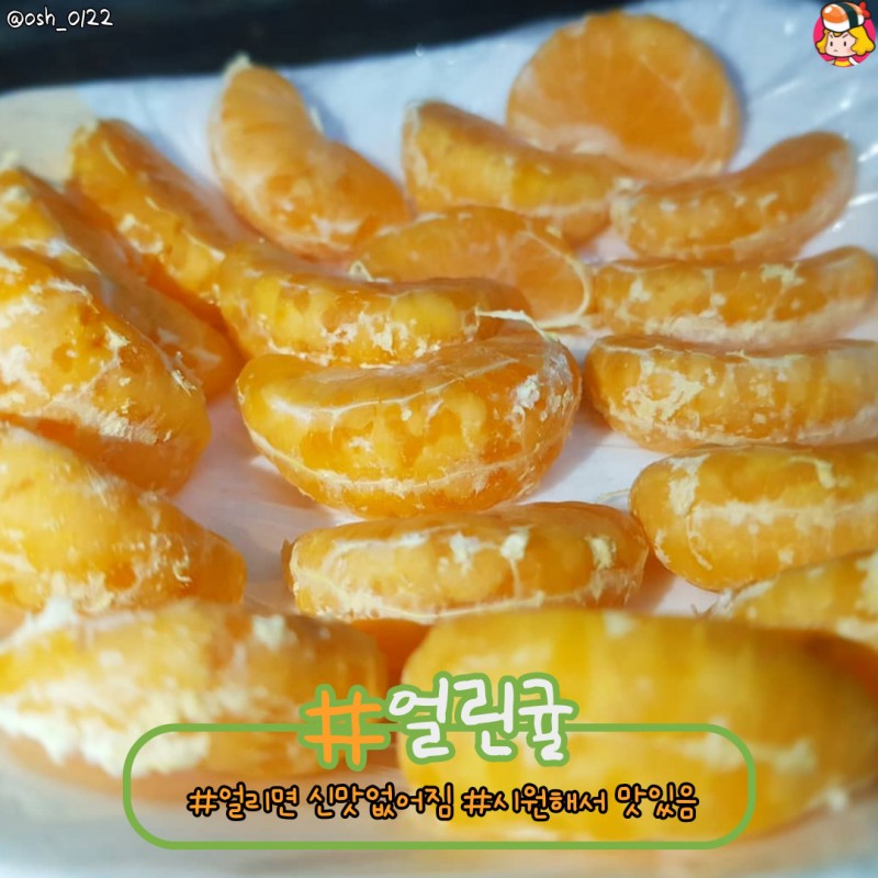 디너의여왕 - 차갑게 먹으면 더 맛있는 과일들 디너의여왕 - 차갑게 먹으면 더 맛있는 과일들 