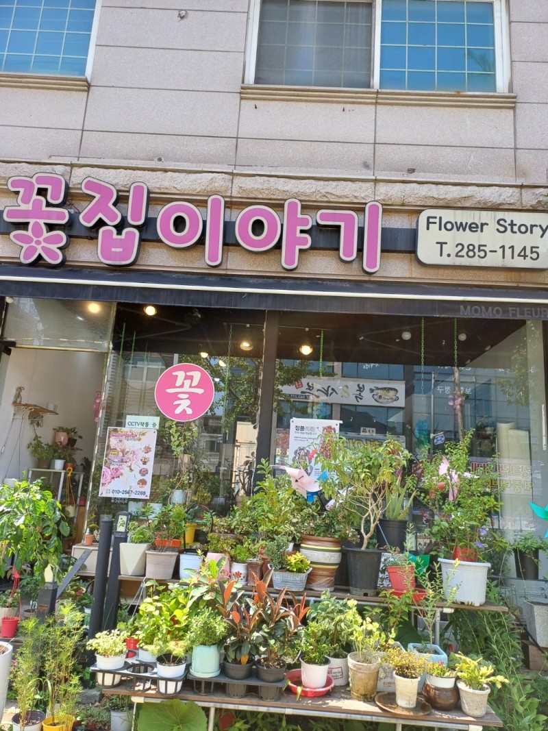 디너의여왕 - [충북 청주][꽃집] 꽃집이야기 2차