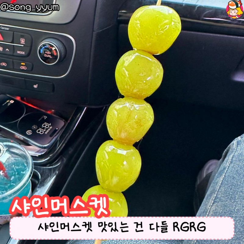 디너의여왕 - 줄서서 먹는 존맛 핫플 왕가 탕후루 추천메뉴