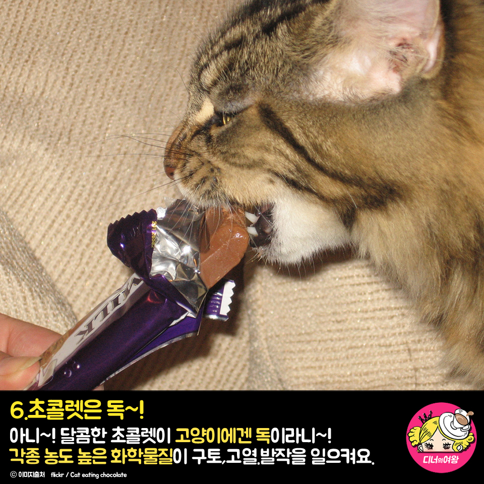 card_img