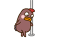card_img