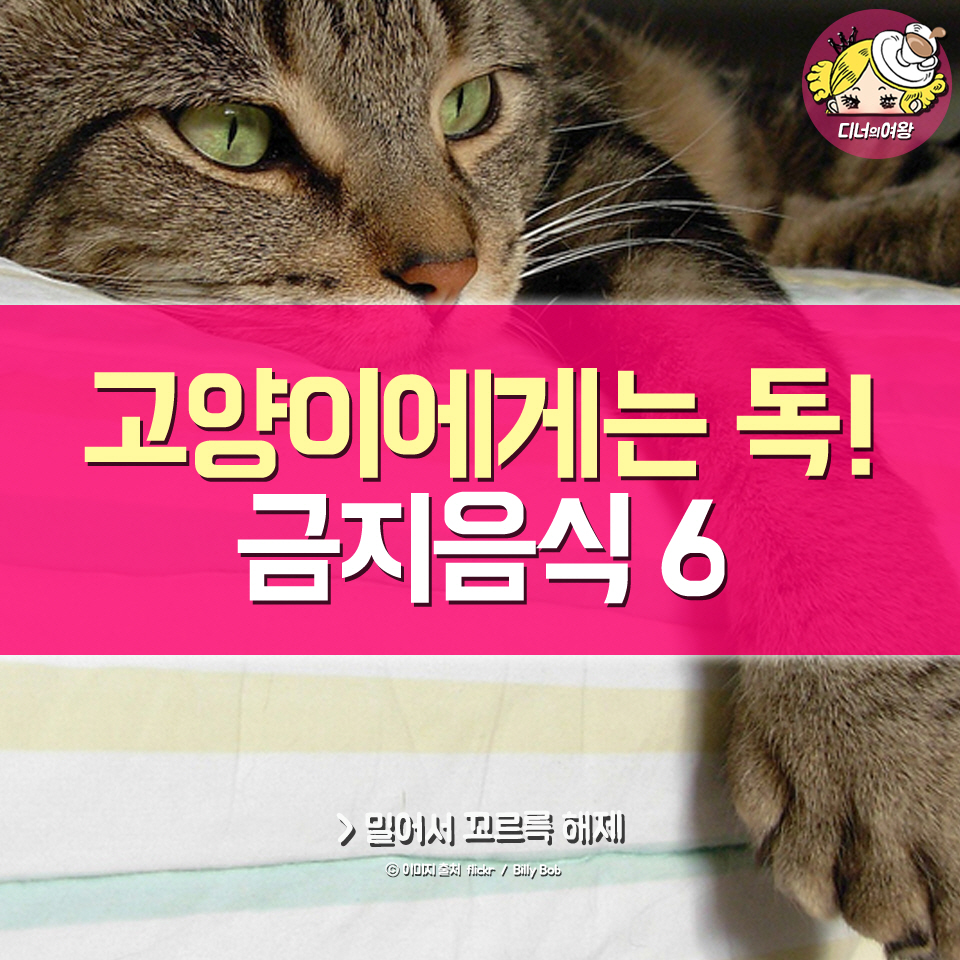 card_img