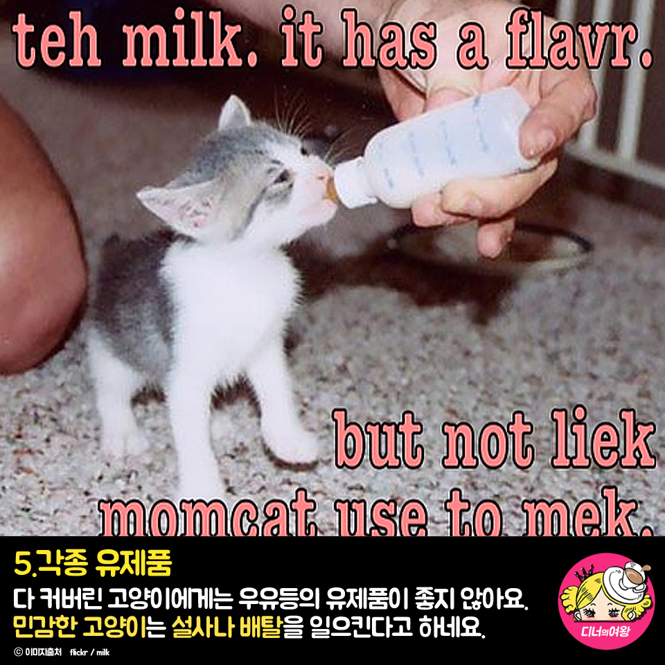 card_img