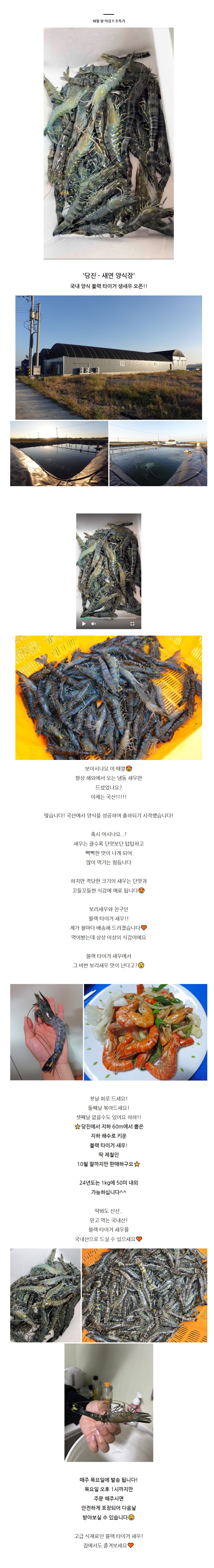 상세 이미지