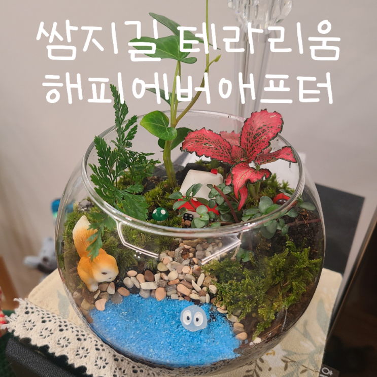 https://ssproxy.ucloudbiz.olleh.com/v1/AUTH_e59809eb-bdc9-44d7-9d8f-2e7f0e47ba91/tr/1706065807.png