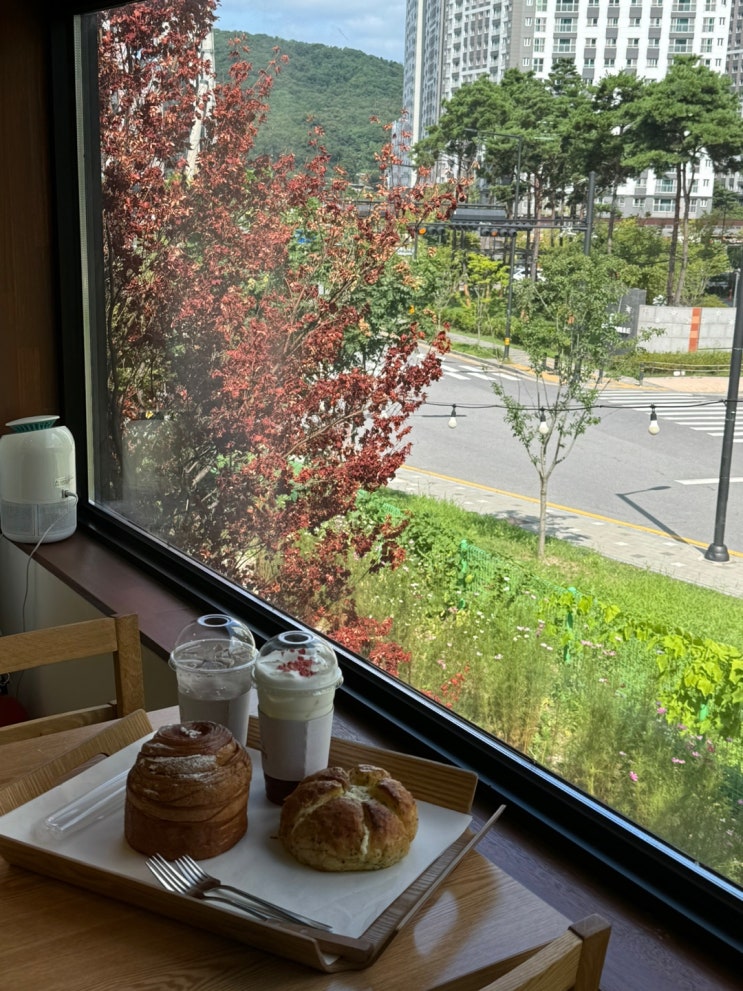 https://ssproxy.ucloudbiz.olleh.com/v1/AUTH_e59809eb-bdc9-44d7-9d8f-2e7f0e47ba91/tr/1724983953.jpg