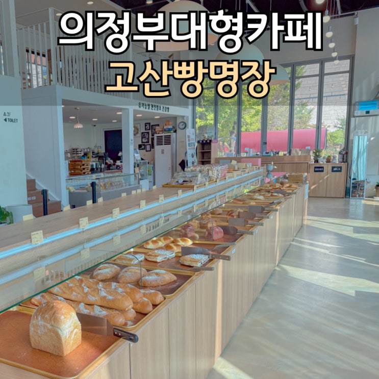 https://ssproxy.ucloudbiz.olleh.com/v1/AUTH_e59809eb-bdc9-44d7-9d8f-2e7f0e47ba91/tr/1728978709.jpg