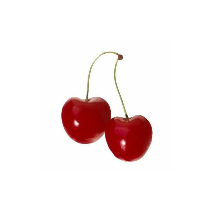 디너의여왕 - [서울 광진] 아트앤도예공방 3차