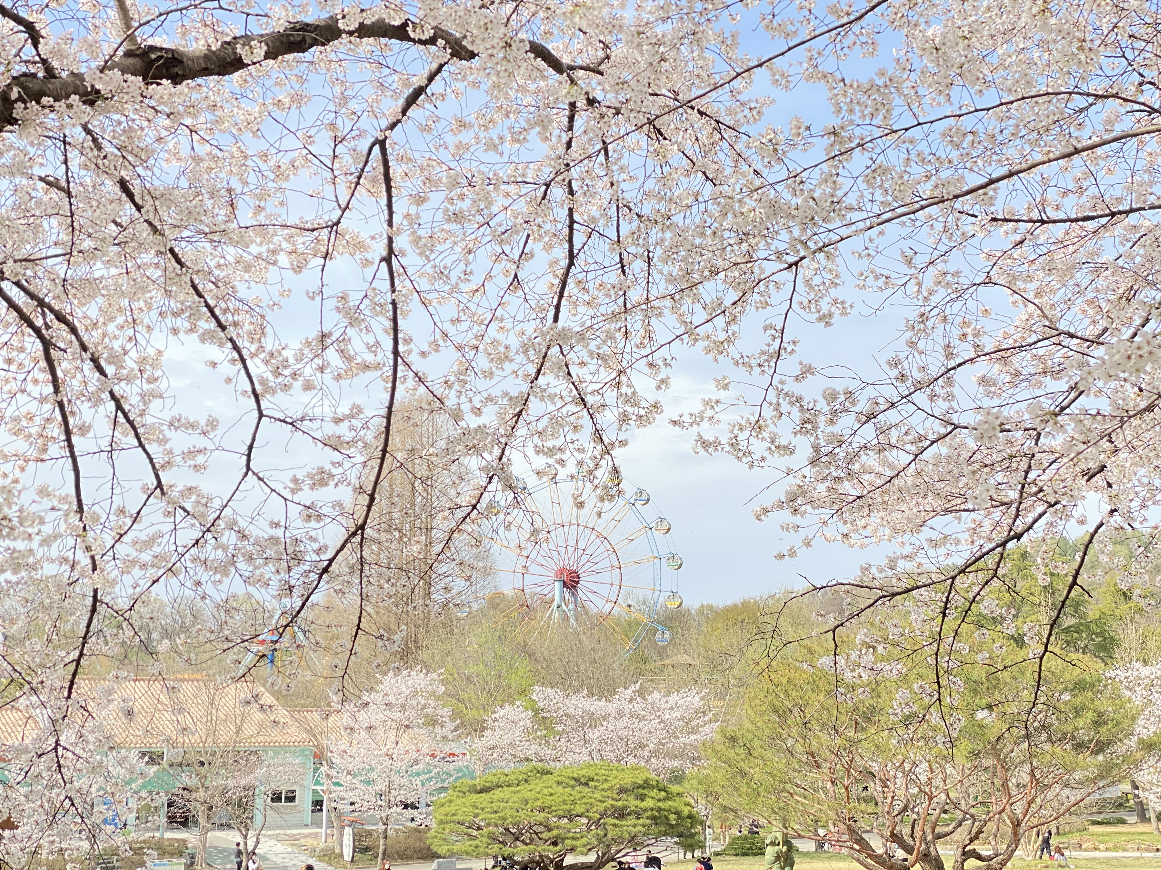 디너의여왕 - [전북 전주] 작가 솔 1차