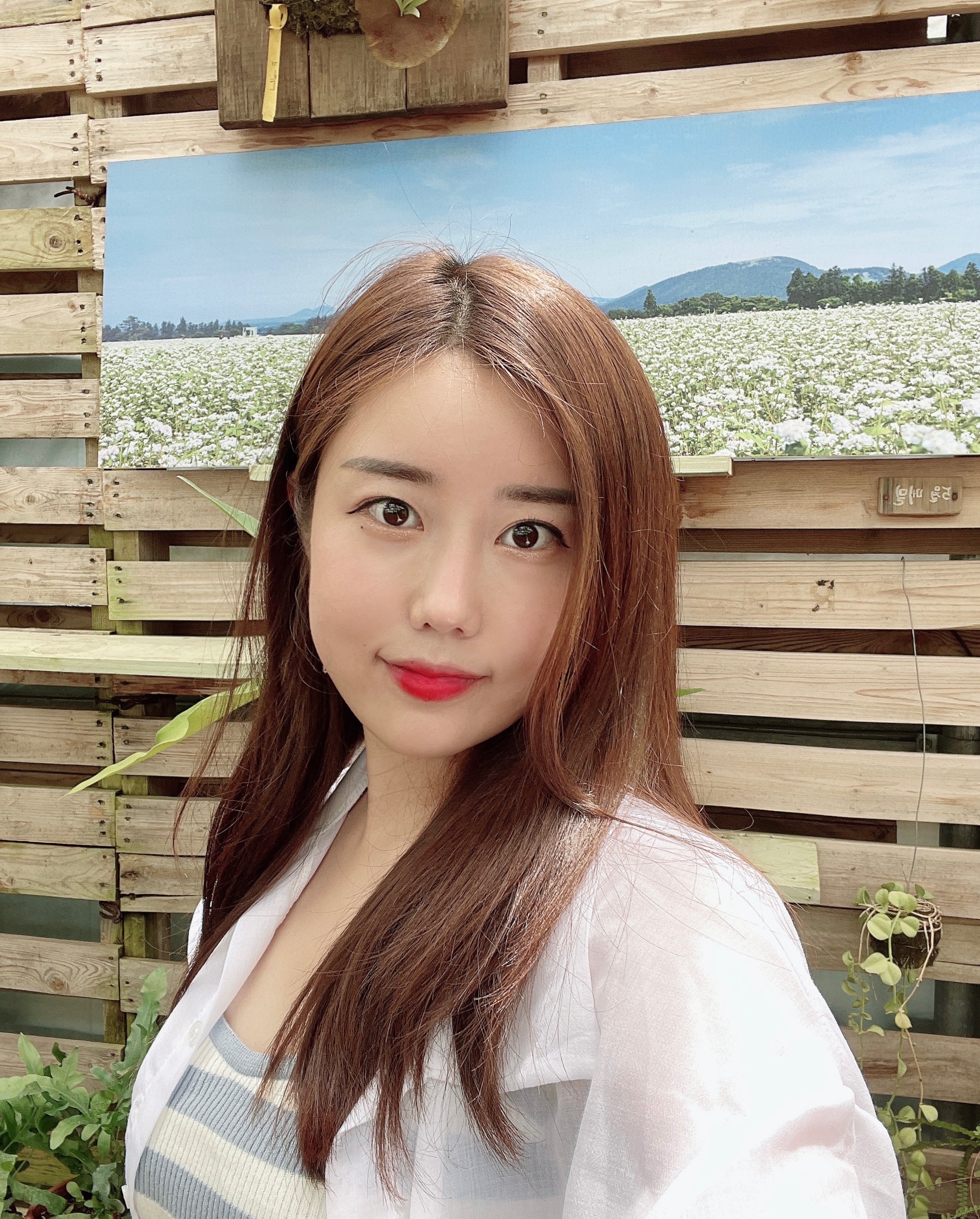 디너의여왕 - [경기 안산] 황금손칼국수 간장게장 7차