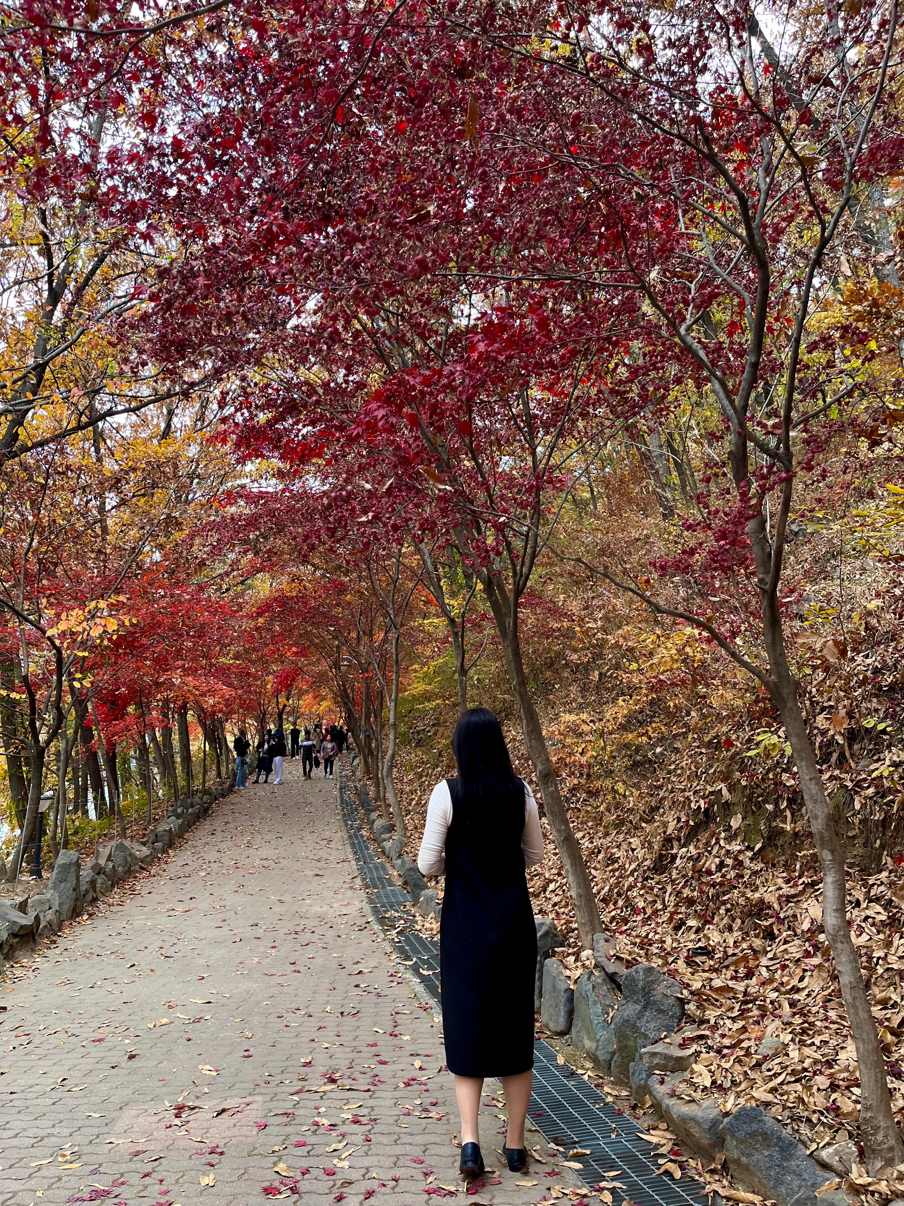 디너의여왕 - [부산 부산진구] [꽃집] 루미르플래르 2차