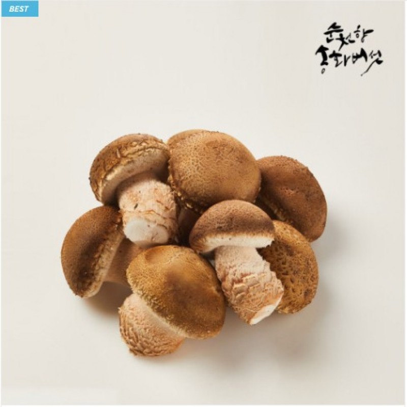 디너의여왕 - [배송] 순천향농원 순천향 송화버섯 표고 송이버섯 1kg 1차