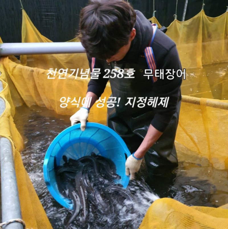 디너의여왕 - [다보수산] 다보수산 무태장어 1차
