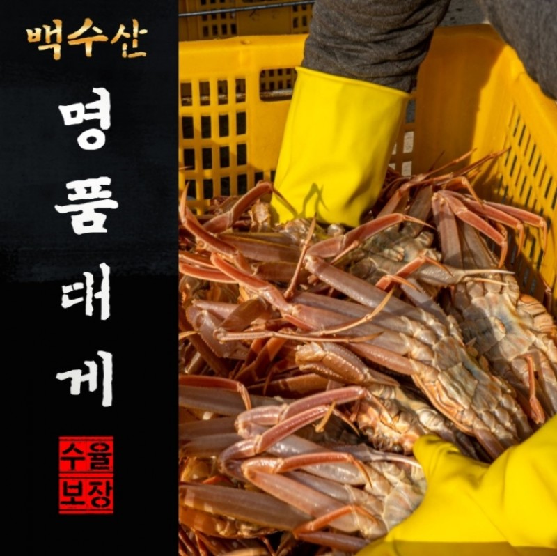 디너의여왕 - [백수산] 국내산 영덕대게 중3마리 1차