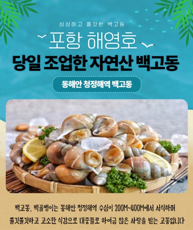 디너의여왕 - [구매평] 해영호 자연산 백골뱅이 1kg 2차 디너의여왕 - [구매평] 해영호 자연산 백골뱅이 1kg  2차