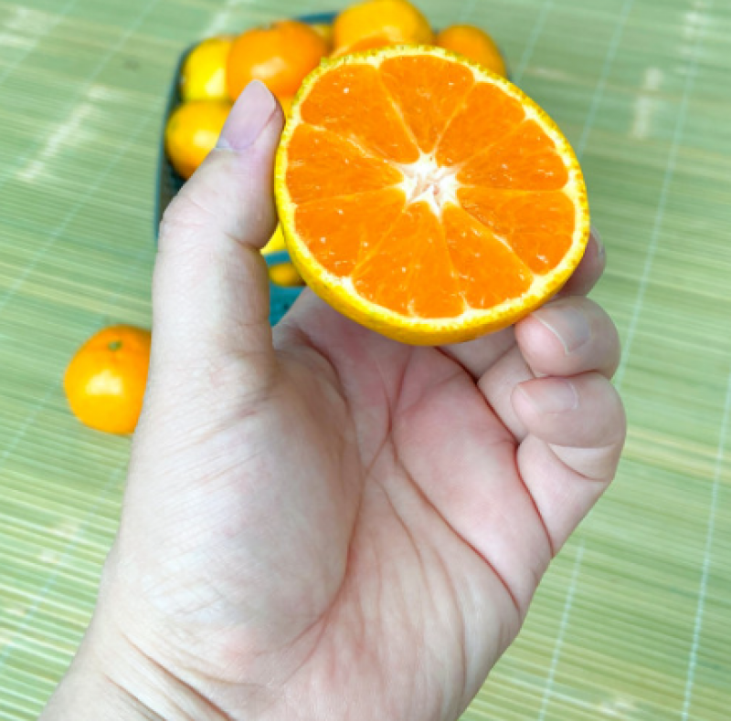 taste_card_img