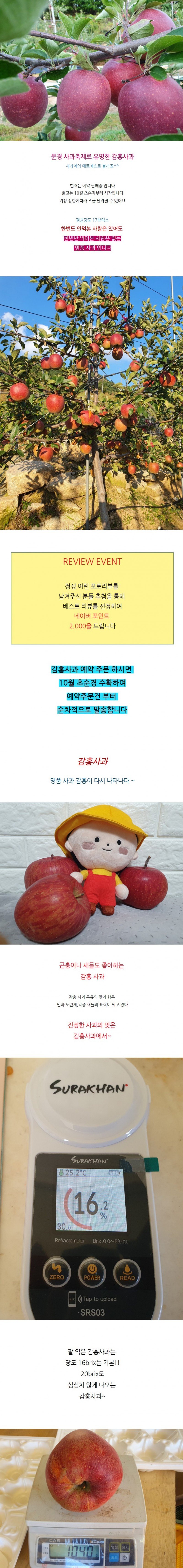상세 이미지
