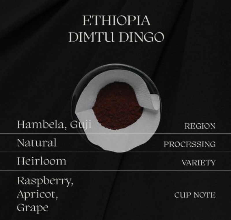 [르와조커피] 에티오피아 딤투딩고 이미지