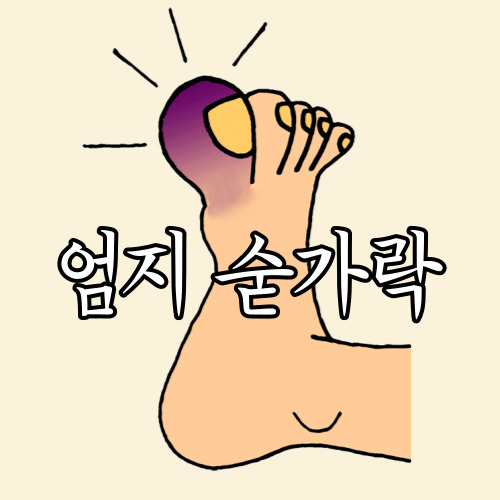 디너의여왕 - [경기 광주] 다한차이나 29차