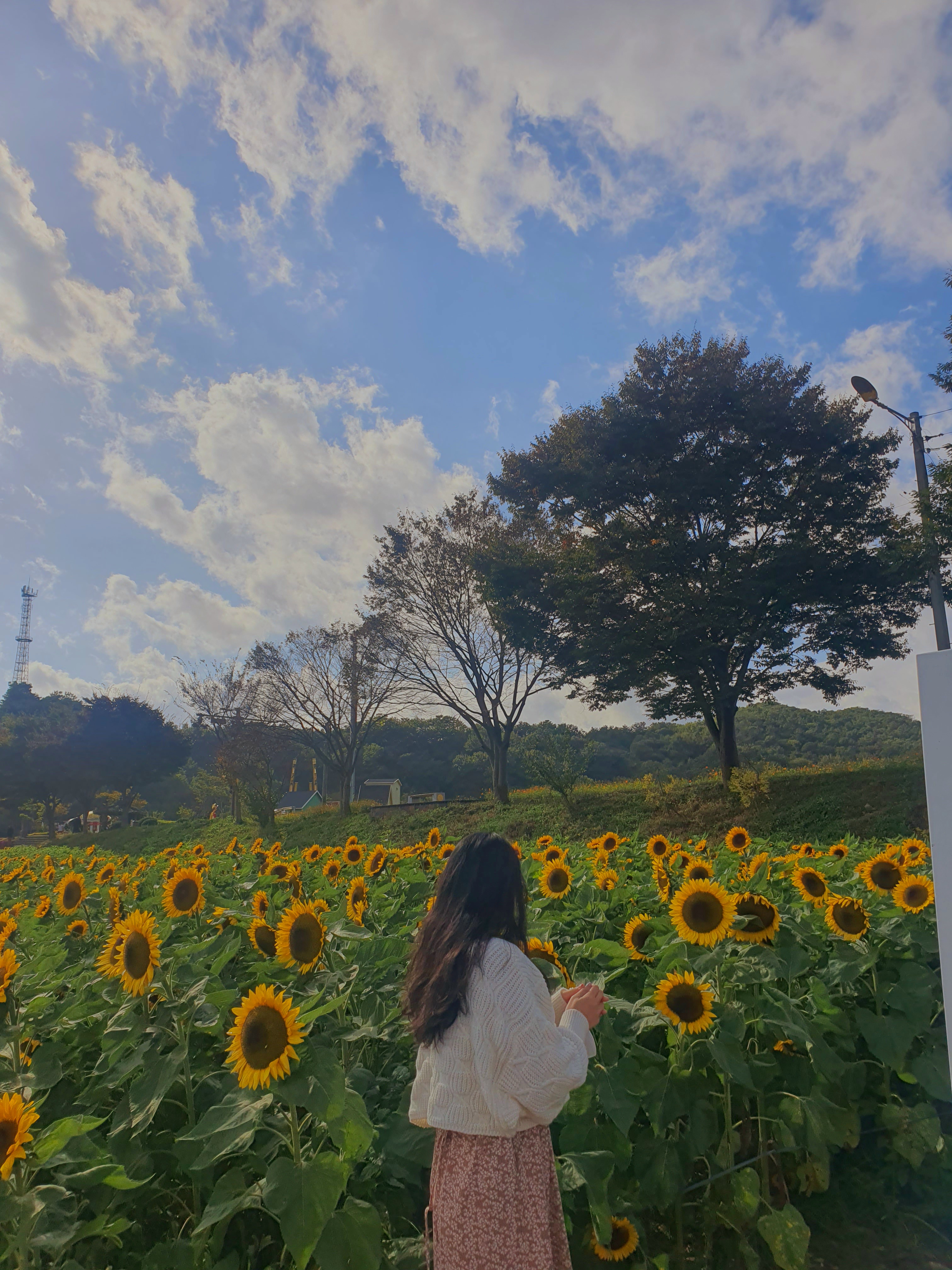 디너의여왕 - [광주 광산] 어니스트식스티 첨단시리단길점 8차