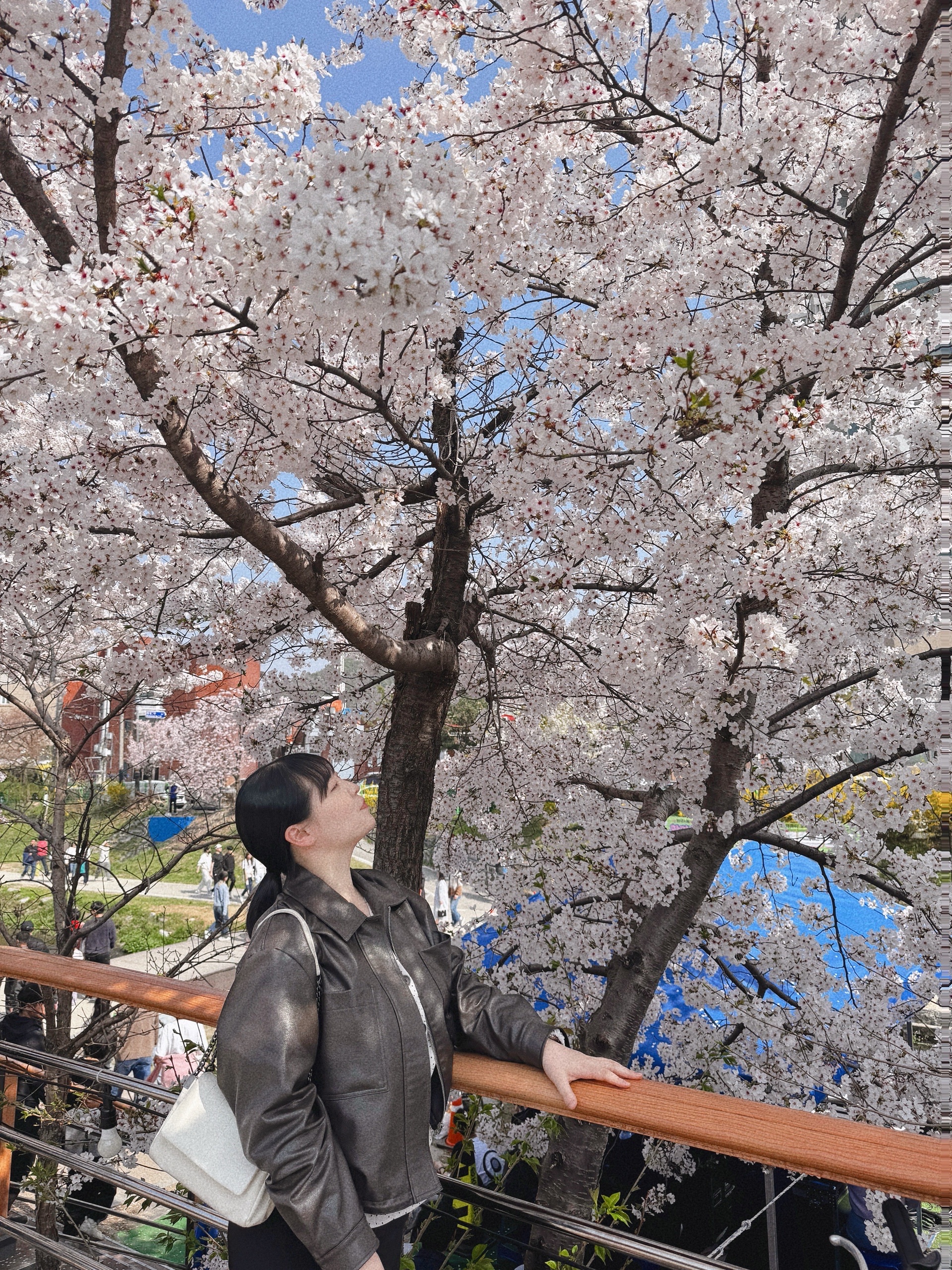 디너의여왕 - [충북 청주] 위스램 9차